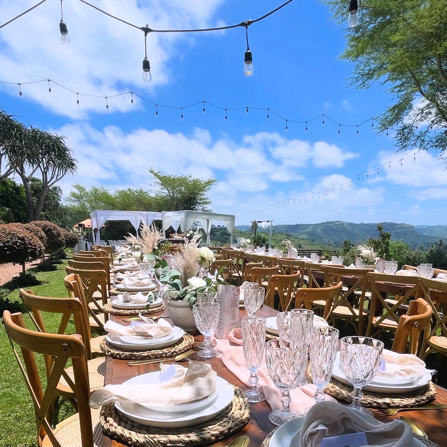 Long timber tables dressed on the lawn beneath string lights